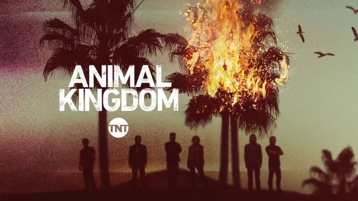 In esclusiva Animal Kingdom 2.0 su InfinityTV